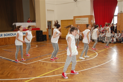 Obrázek v galerii