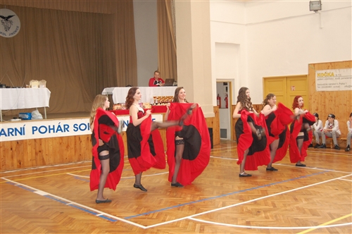 Obrázek v galerii