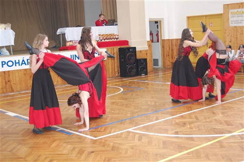 Obrázek v galerii