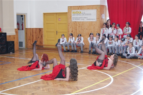 Obrázek v galerii