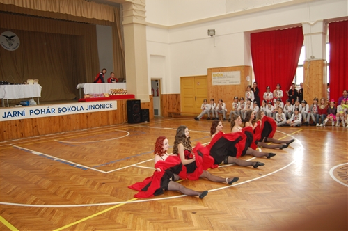 Obrázek v galerii