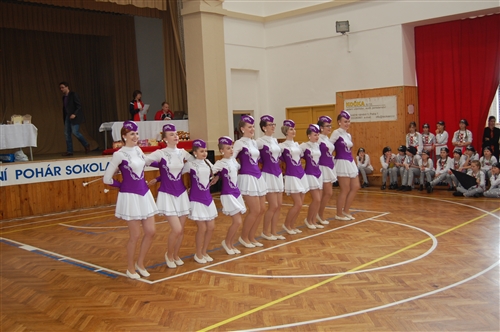 Obrázek v galerii