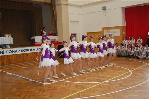 Obrázek v galerii