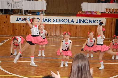 Obrázek v galerii