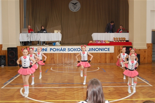 Obrázek v galerii