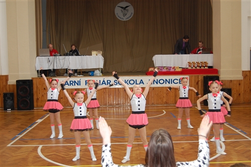 Obrázek v galerii