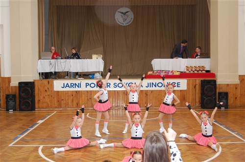 Obrázek v galerii