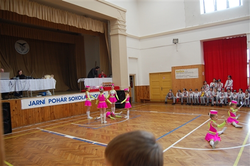 Obrázek v galerii