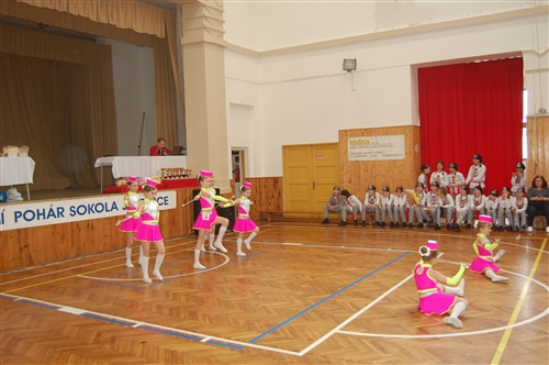 Obrázek v galerii
