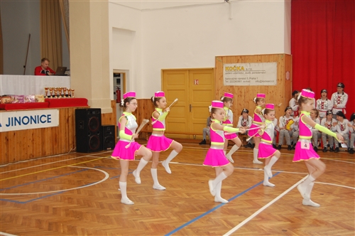 Obrázek v galerii