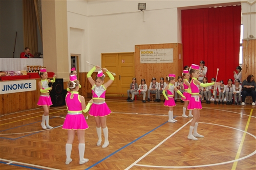 Obrázek v galerii
