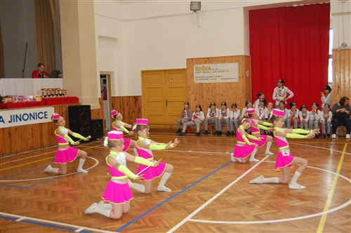 Obrázek v galerii