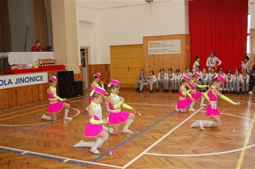 Obrázek v galerii