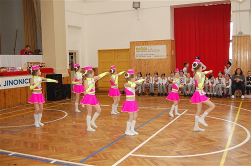 Obrázek v galerii