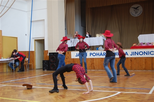 Obrázek v galerii