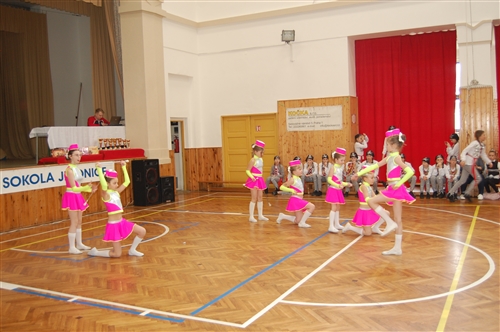 Obrázek v galerii