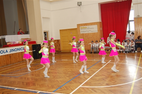 Obrázek v galerii