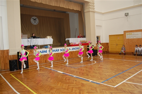 Obrázek v galerii