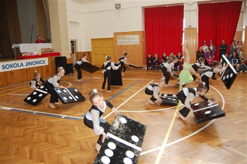 Obrázek v galerii