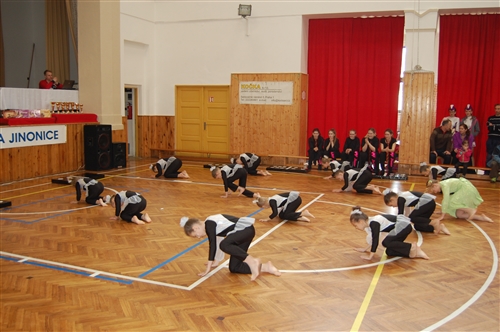Obrázek v galerii