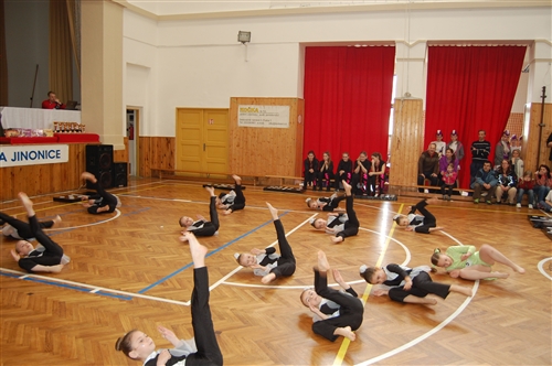 Obrázek v galerii