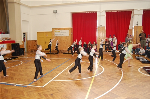 Obrázek v galerii