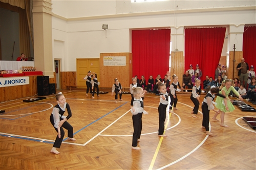 Obrázek v galerii