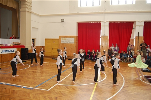 Obrázek v galerii