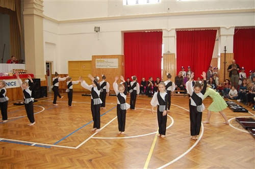 Obrázek v galerii
