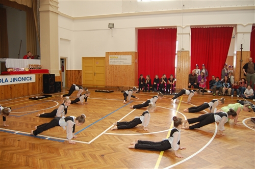 Obrázek v galerii