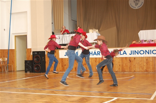 Obrázek v galerii