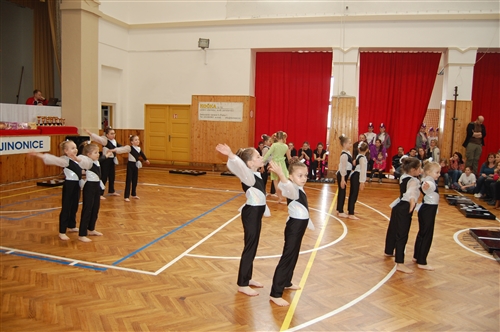 Obrázek v galerii