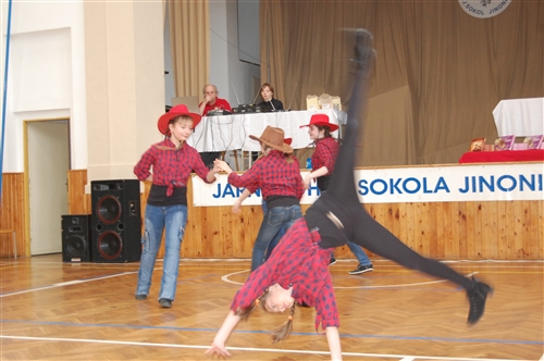 Obrázek v galerii