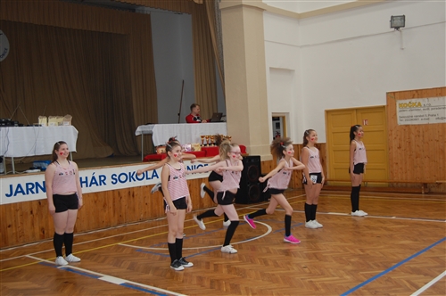 Obrázek v galerii