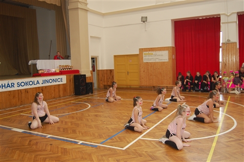 Obrázek v galerii