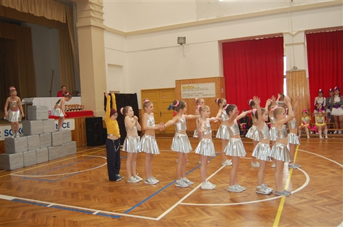Obrázek v galerii