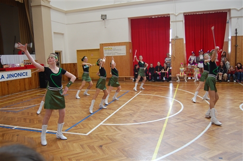 Obrázek v galerii