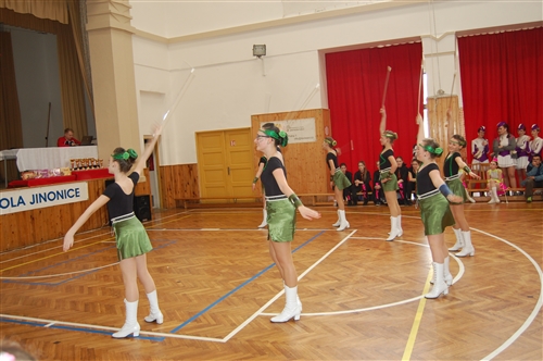 Obrázek v galerii