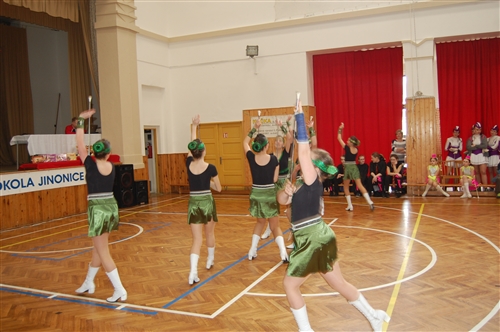 Obrázek v galerii