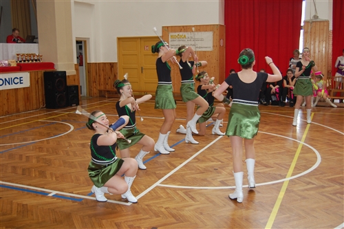Obrázek v galerii