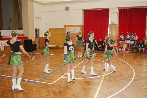 Obrázek v galerii