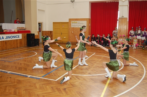 Obrázek v galerii