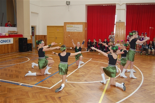Obrázek v galerii