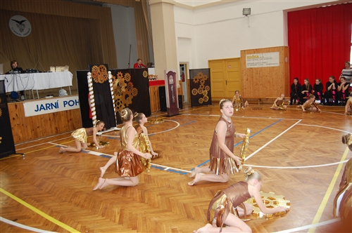 Obrázek v galerii