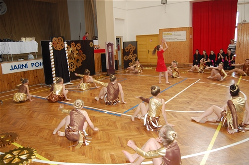 Obrázek v galerii