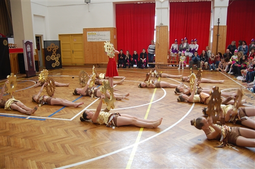 Obrázek v galerii
