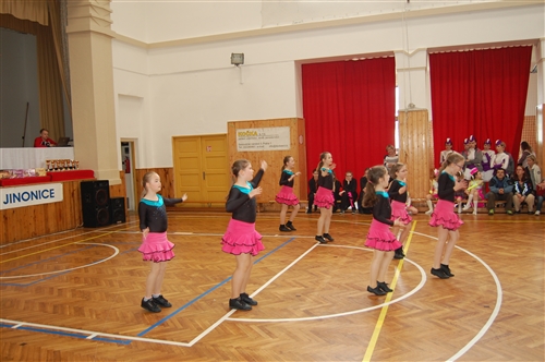 Obrázek v galerii