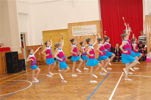 Obrázek v galerii