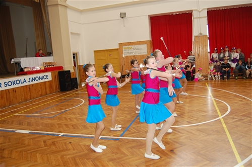 Obrázek v galerii