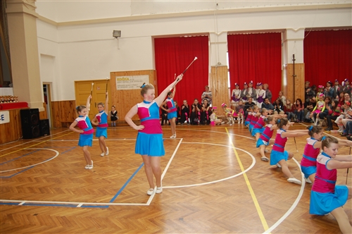 Obrázek v galerii